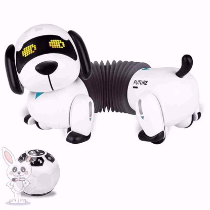 صورة جرو روبوت، جهاز تحكم عن بعد