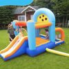 Picture of Dr. DOLPHIN ELEPHANT BOUNCE HOUSE WITH SLIDE Product Dimensions: ‎(420 x 315 x 225 cm)