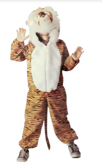 صورة 329/ ملابس تنكريه